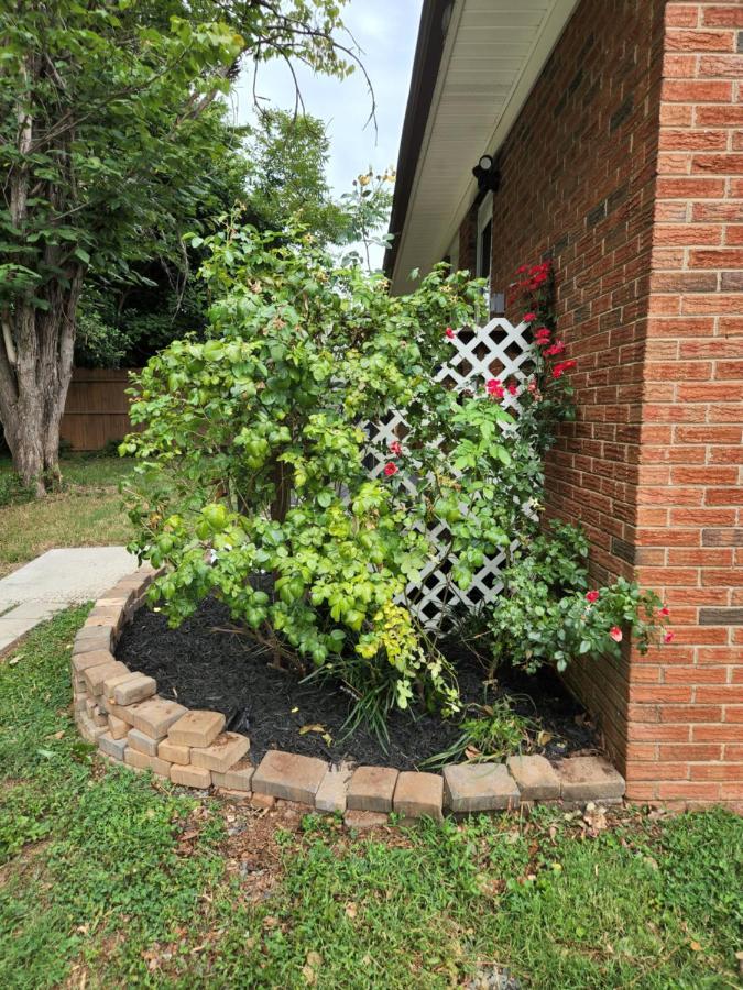 2Br 1Ba Duplex House King Beds Great For Small Groups Close To All Uptown Charlotte Attractions Exterior photo